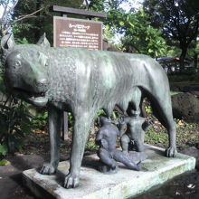 大きなメスの狼の乳を飲んでいる幼子の兄弟が小さく見えています