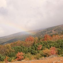 虹がかかりました