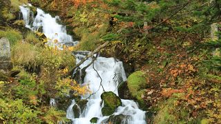 ひっそりした森の中の小さな滝