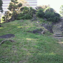 三笠山の南側斜面です。テニスコート側から見ている様子です。