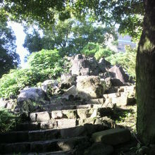頂上に近づくにつれ、登山道の階段の段差が急になってきます。
