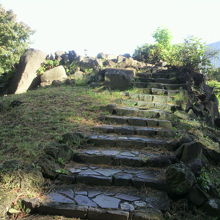 短いですが、案内板側からの登る階段道です。 