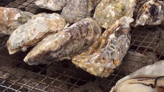 天神で食べれます