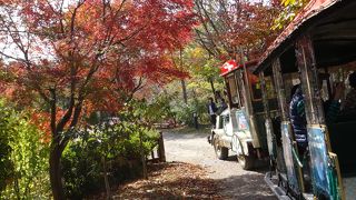 花がきれいなのは春
