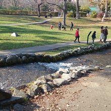 回りは芝生に囲まれています