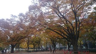 札幌を代表する都市公園です。