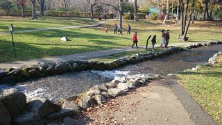 キャンパスの中に川が流れ、芝生では子供たちが遊んでいます