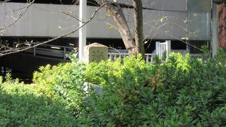 写真間違えたかなぁ！