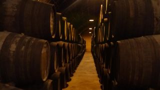 オフリー ワイン セラー