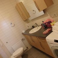 トイレ、洗面所、洗濯機。手前にシャワーブースです。