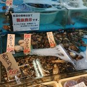 朝どれの地物の魚が買えます