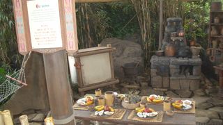 背景を理解してから(スイスファミリーツリーハウス)