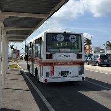 ミンサー号、小型のノンステップバスで運行。