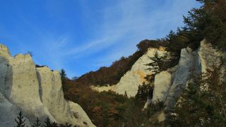 近くで見ると迫力がある