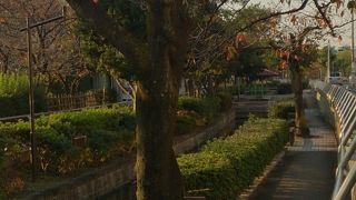 細長い親水公園