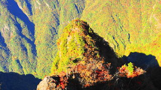 大人気の大台ケ原、混雑は必至！