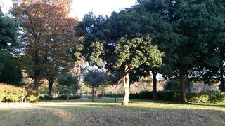 広大な都市公園