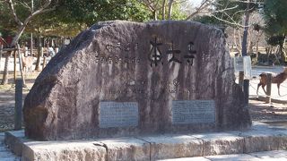 広い境内、みどころいっぱい！