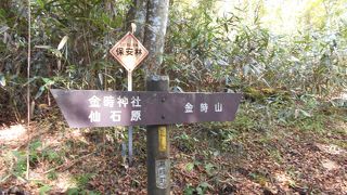 箱根で人気の金時山へ。