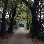 奥行きのある神社