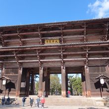 大きいというよりデ、デカイっ！