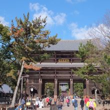 まず南大門では「東大寺にきたっ！」とテンションあがります