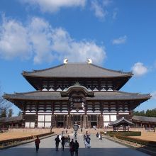 冬の澄んだ空気に映えます