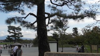 のんびりできる公園です