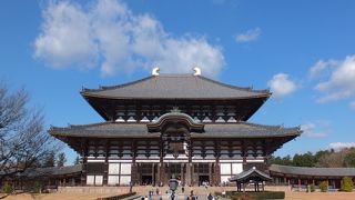 うわ～～～っと感動