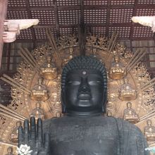 世界に慈悲の光を照らす