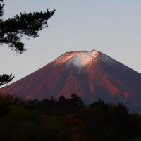 朝、部屋の窓から。
