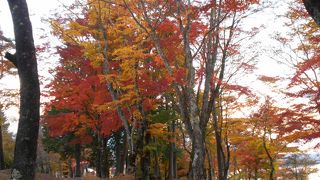 隠れた紅葉スポット。穴場です。