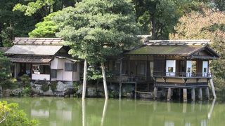 兼六園の景色の一つ