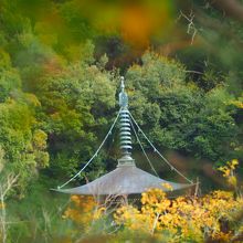 多宝塔の周りも色づいています。