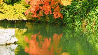 素晴らしいところです