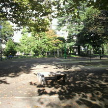 草地広場の周りには、健康広場や他の各種の施設もあります。