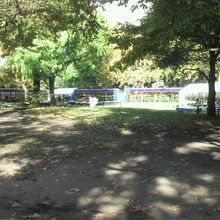 草地広場の広いスペースは、いろいろな行事にも広く利用されます