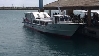 八重山観光の欠かすことのできない足です。