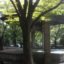 日比谷公園の小音楽堂の緑の樹々に囲まれている中央の舞台です。
