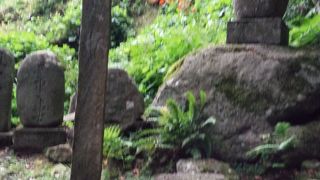立石寺を有名にしている芭蕉の短冊が埋まっているらしい
