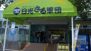 ひさしぶりにさるたちの劇をみることができます