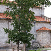 Cathedral of the Assumption of the Blessed Virgin前の公園広場