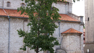 Cathedral of the Assumption of the Blessed Virgin前の公園広場
