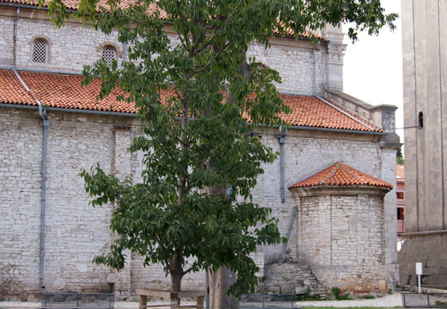 Cathedral of the Assumption of the Blessed Virgin前の公園広場