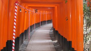 朝がおすすめです！