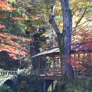 渓流の眺めも素晴らしい