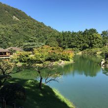 大変奇麗でした