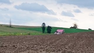 美瑛の丘のアクセント