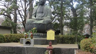 優しいお顔に癒されます