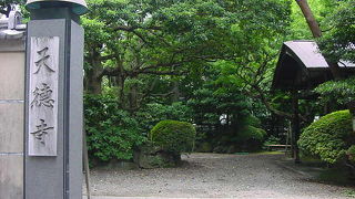 緑の多い境内です